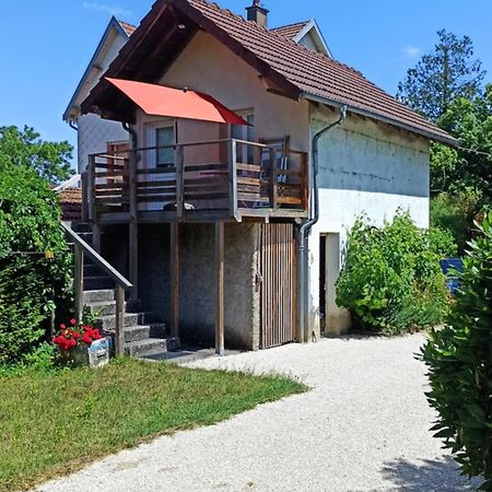 Une Tiny House A Decouvrir Au Coeur De La Cite ! 孔特雷克塞维尔 外观 照片
